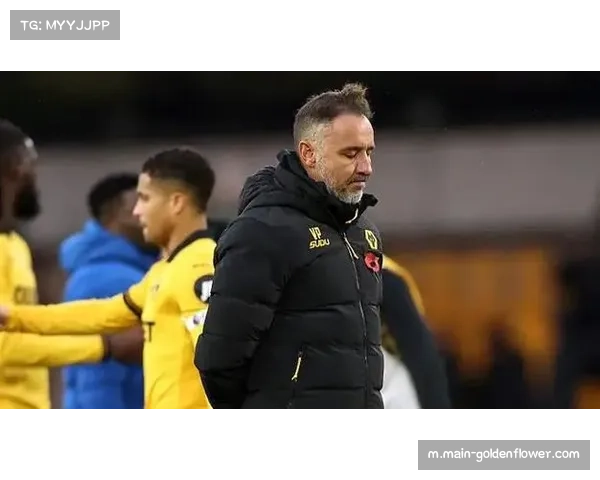 狼队赛季初与佩雷拉续约 9轮不胜仍未决定换帅 狼队赛季初与佩雷拉续约 9轮不胜仍未决定换帅