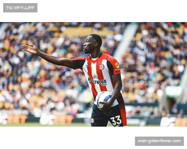 布伦特福德对阵狼队时 七人伤病名单影响排兵